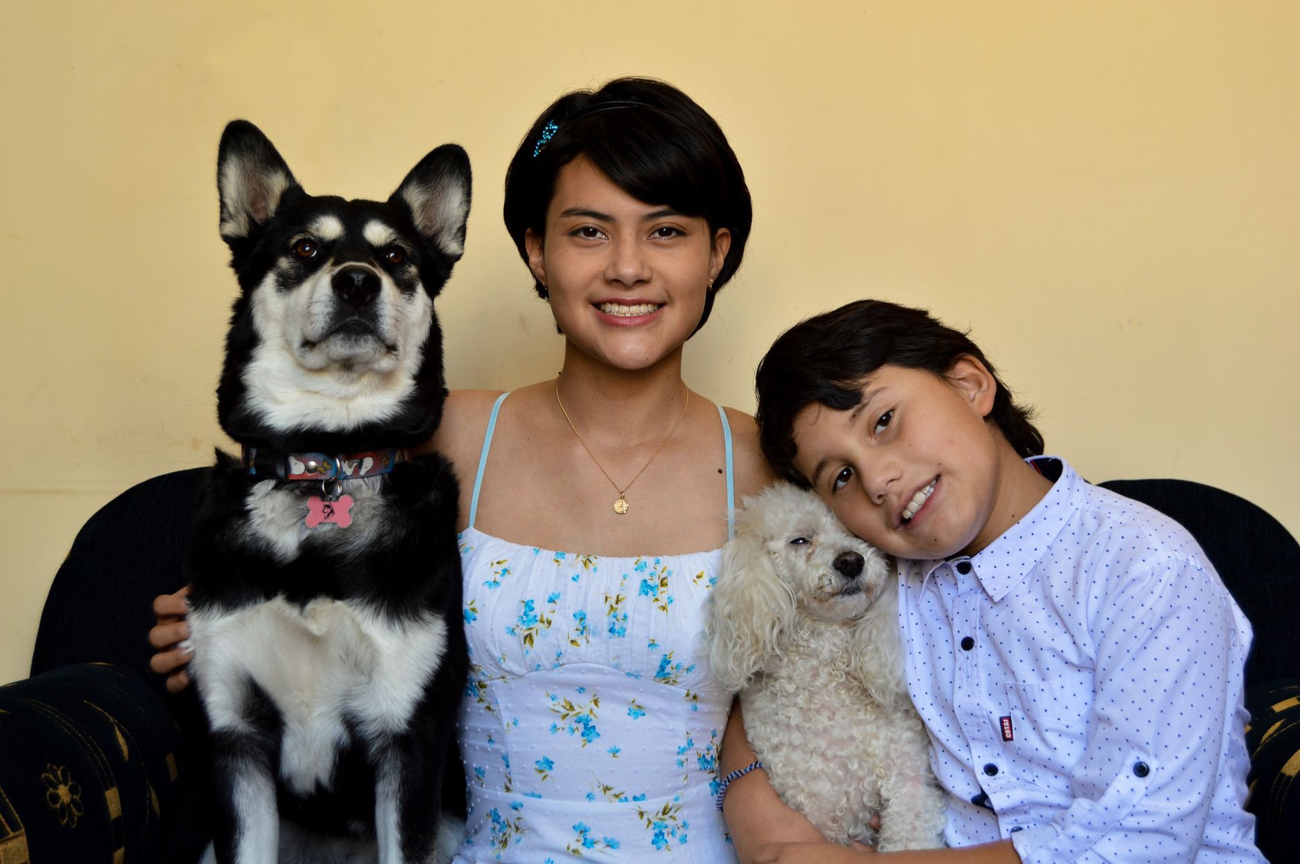 Family with their dogs