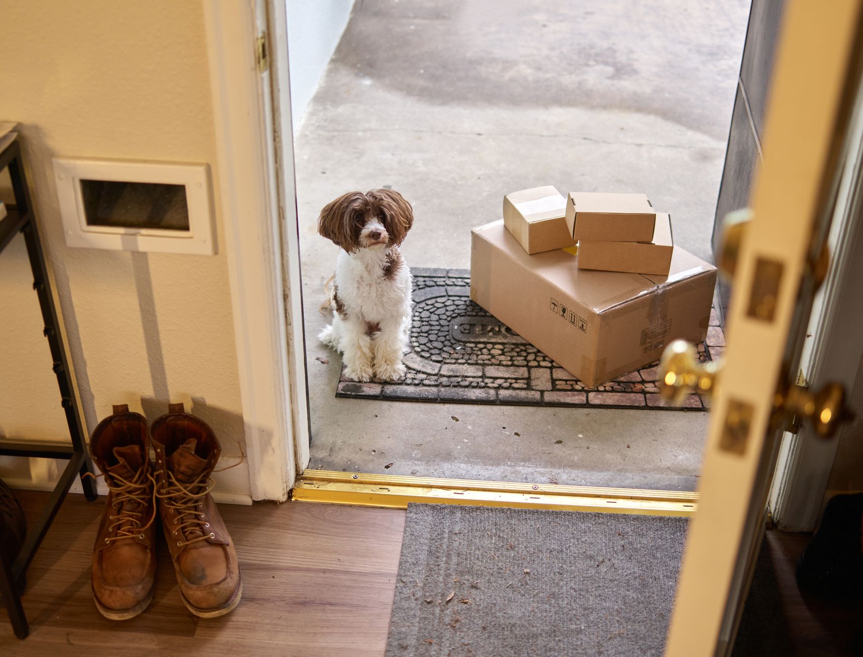 Home & business delivery